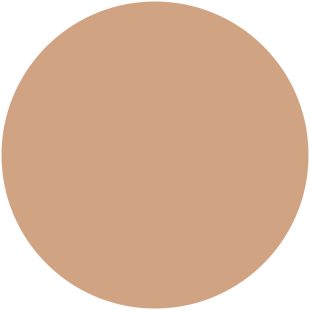 Tester Mineral Compact Foundation #19