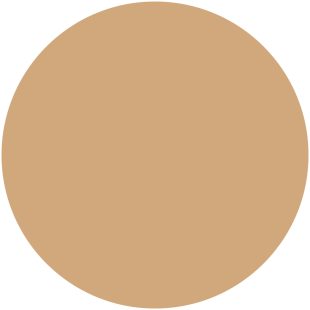 Tester Maximum Comfort Foundation #10